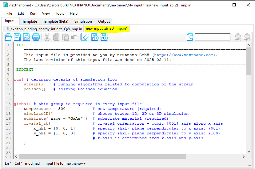Image of newly created input file for nextnano++.